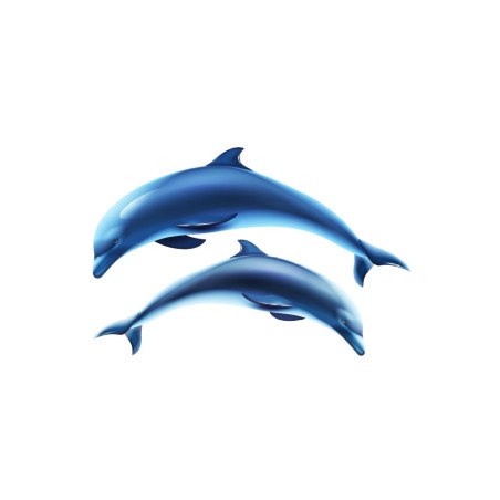 2 DELFINES - Decoración para piscina